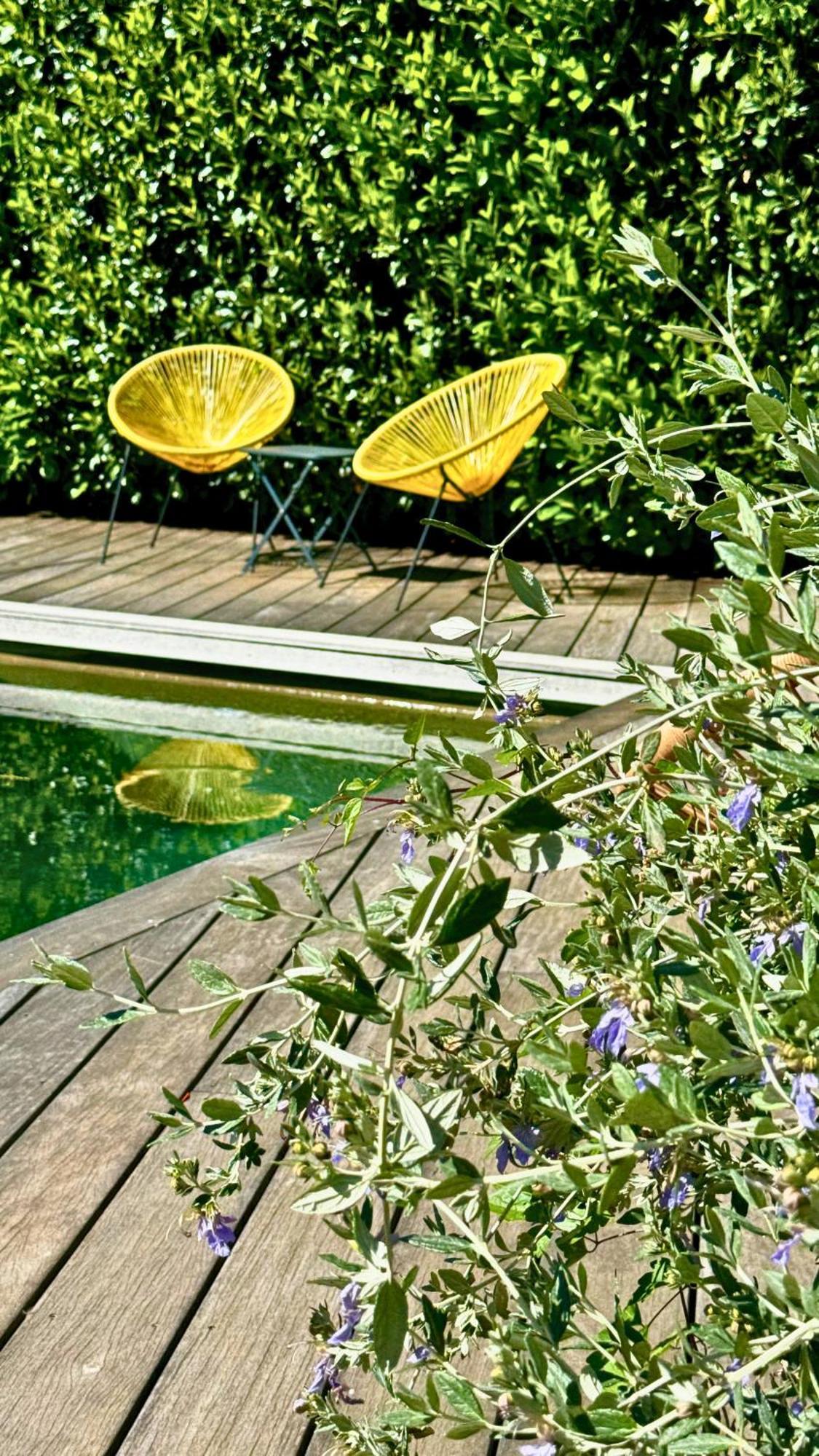 Boutique Hotel Artemisia バステリカ エクステリア 写真